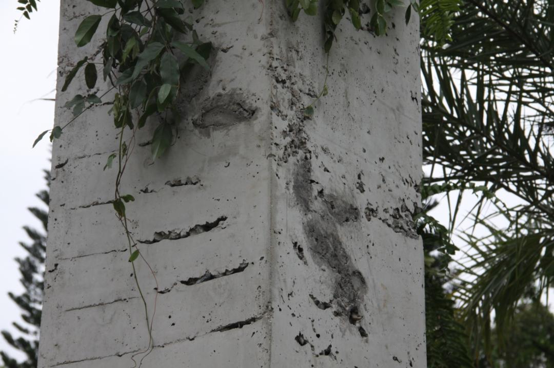 切尔西花展最佳展示花园奖,切尔西花展获奖作品