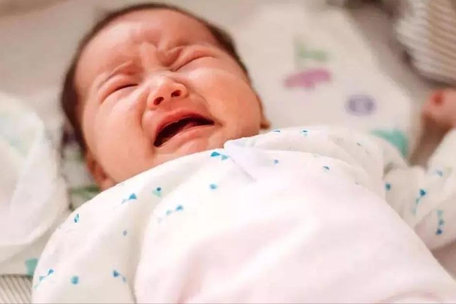 河南老汉捡到弃婴24年后带去旅行,老汉捡废品收养弃婴25年后续