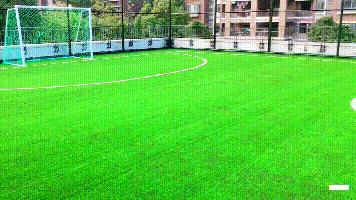 在室内足球场踢足球,在足球场里踢足球