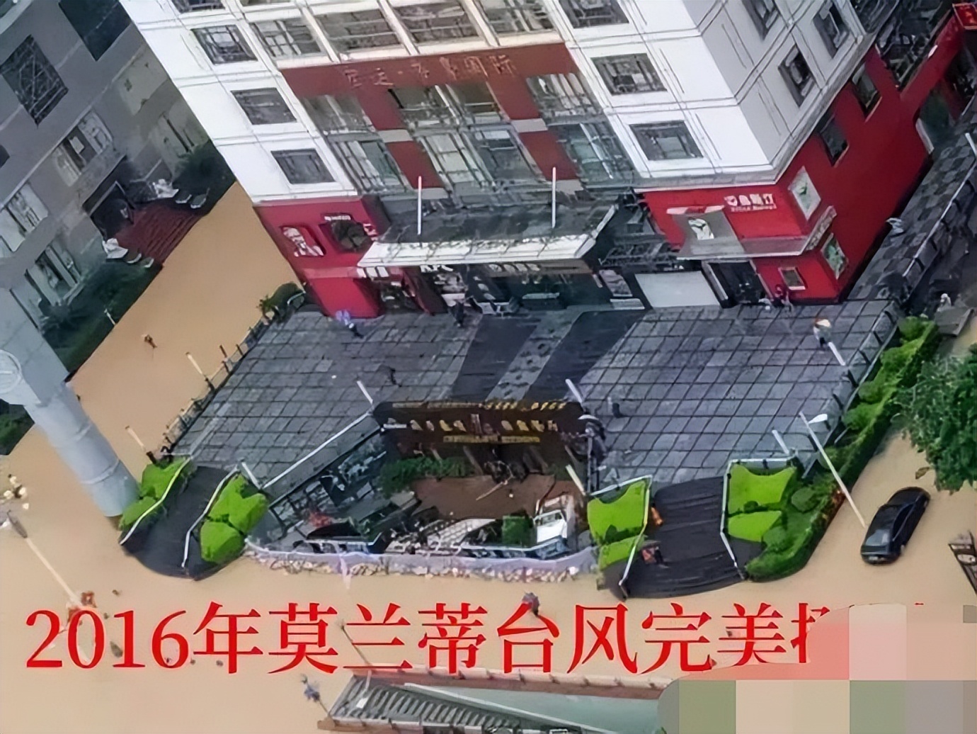 一家餐饮店,竟成了防洪抗台风先进单位