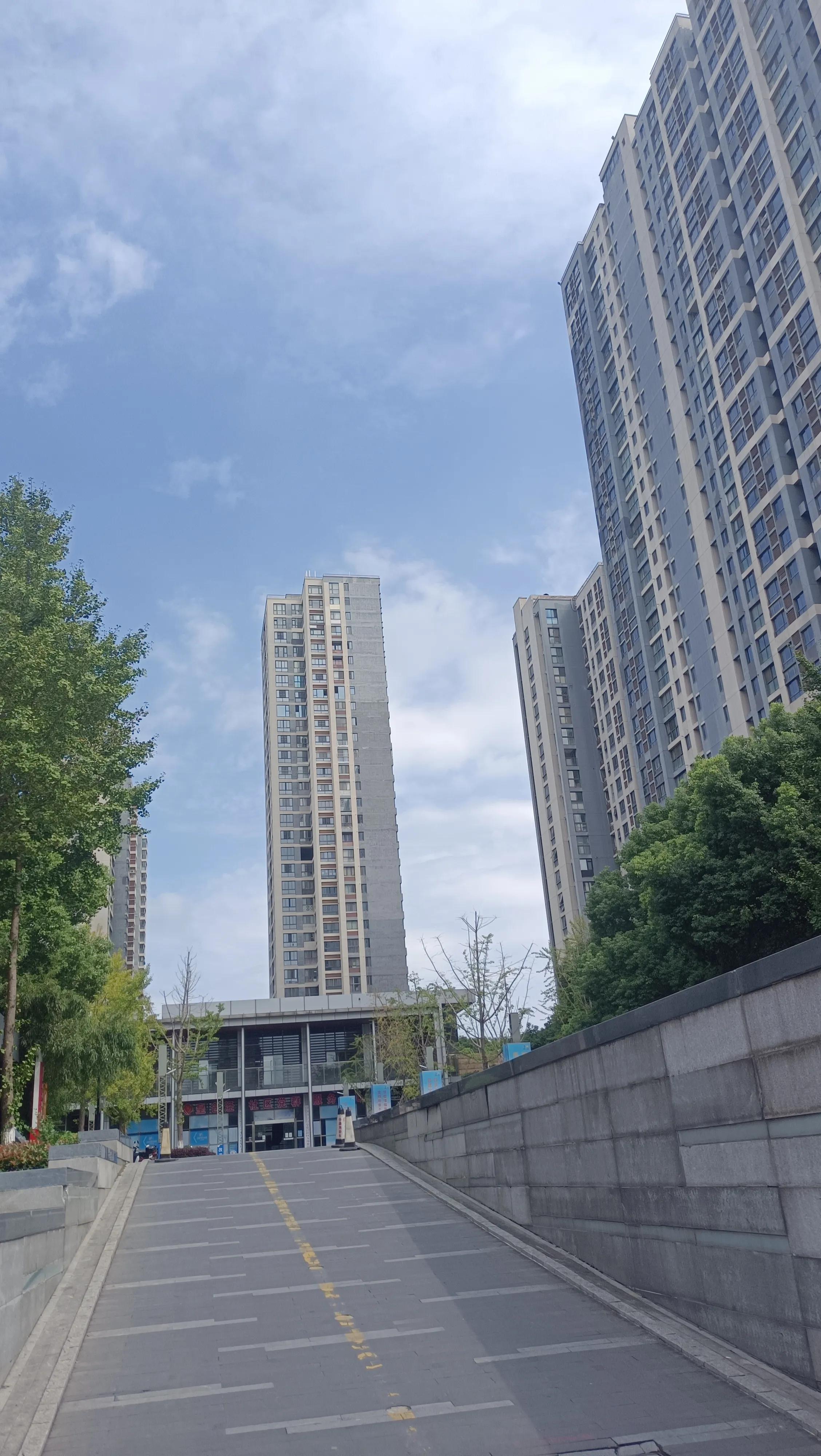 心慌心悸焦虑不安失眠有什么食疗,心悸失眠焦虑吃什么药