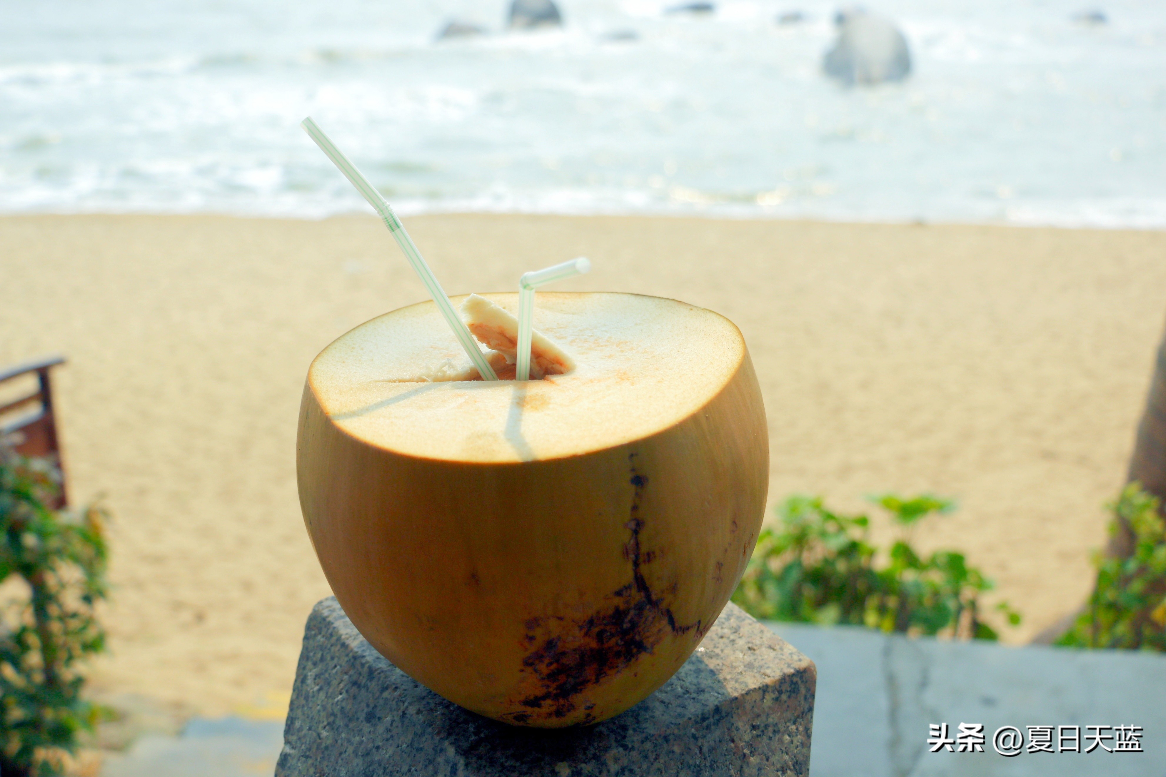 三亚度假最佳选择,三亚度假正确打开方式