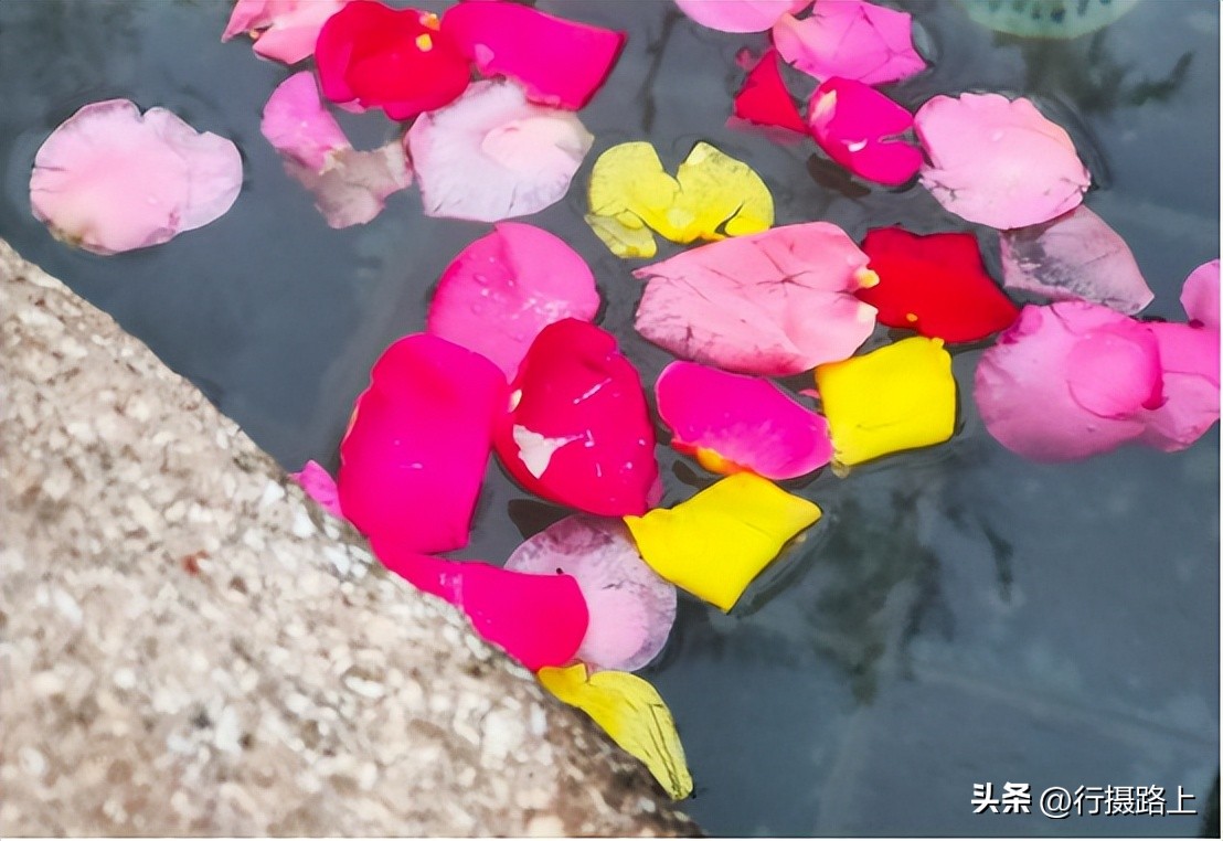 山东最近发现的宝藏,山东夏季温泉有哪些好玩