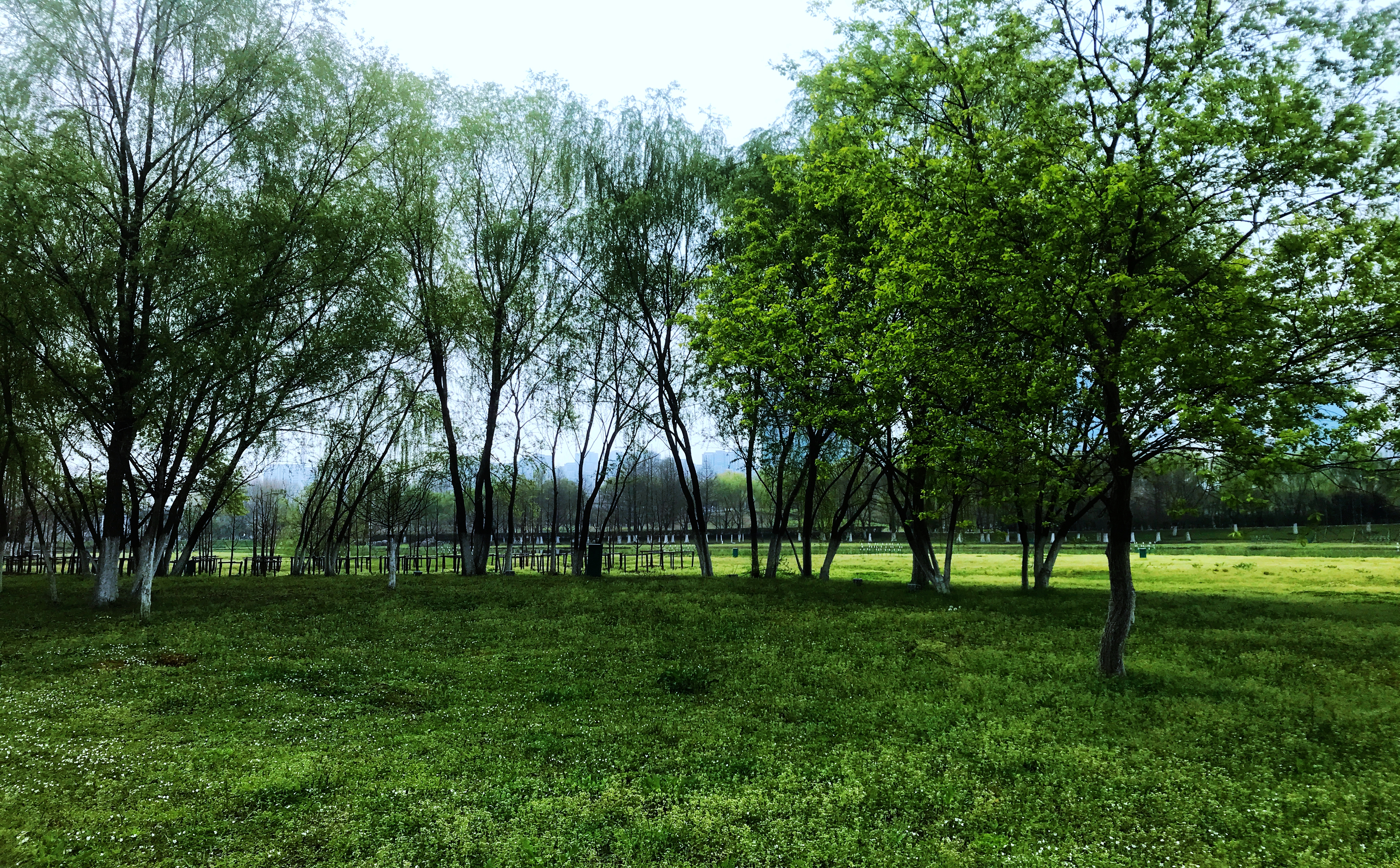 合肥塘西河公园怎么样,合肥塘西河公园的桥