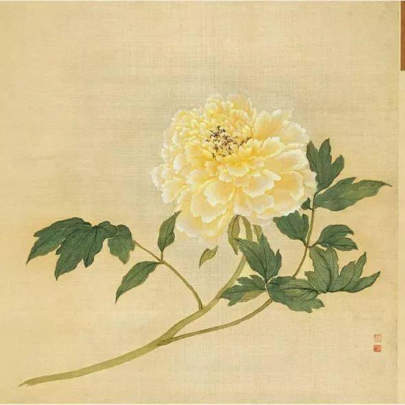 蒋廷锡牡丹画法,蒋廷锡百种牡丹画法