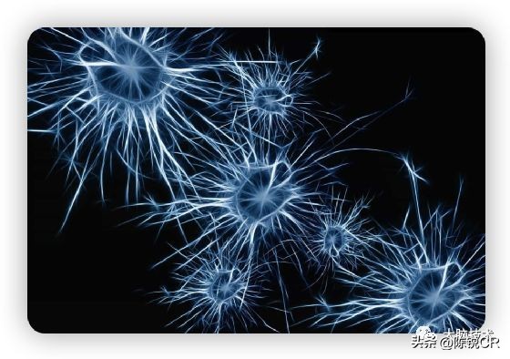 大脑循环系统,大脑视觉网络包括哪些脑区