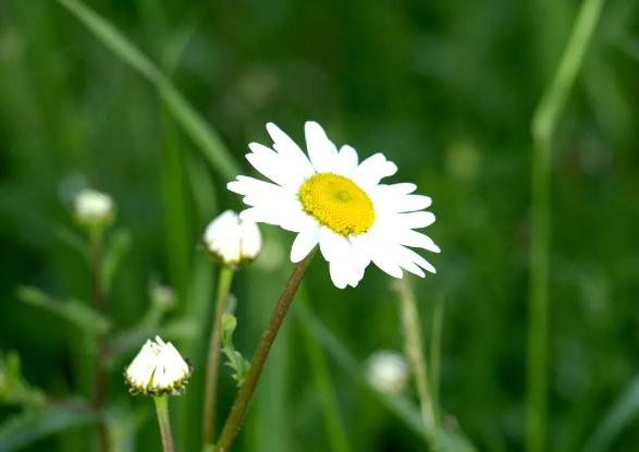 什么东西都舍不得扔是一种病,舍不得扔东西的人性格