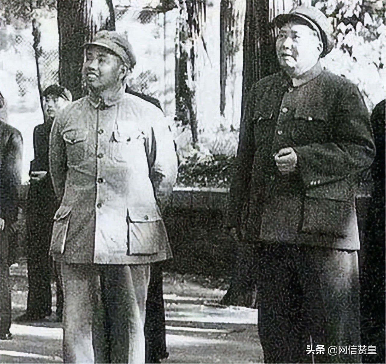 【*党**史百年】毛主席为什么在大多数人同意枪决*世友许**的时候要救他？