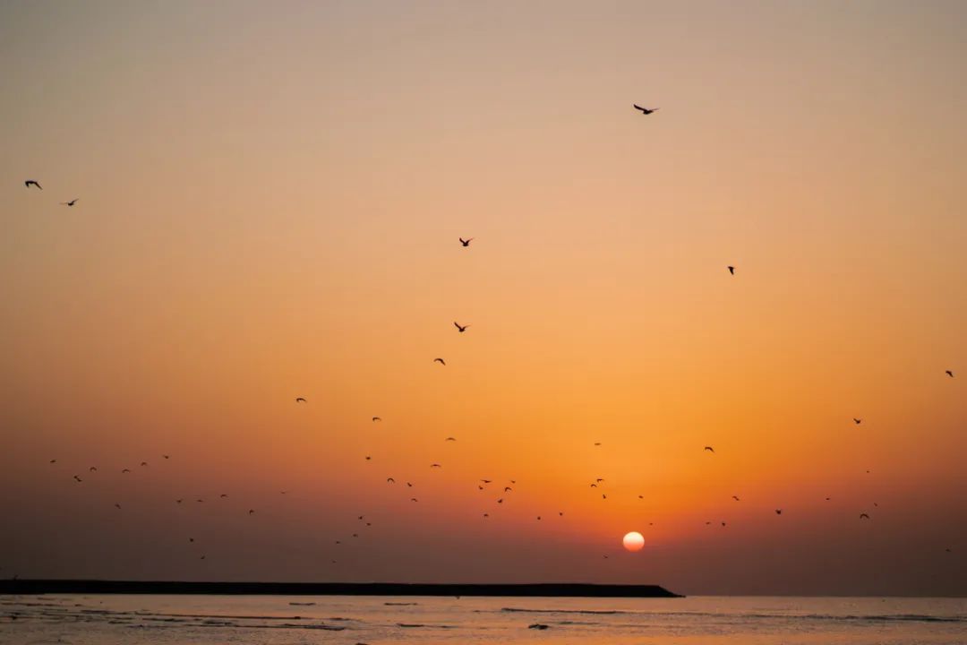 河北旅游今年要火，上半年凭冬奥出圈，下半年火过三亚