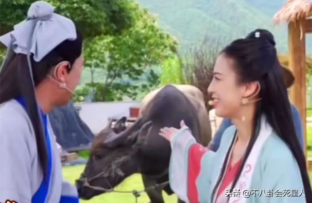 向太张柏芝直播,向太直播间说张柏芝