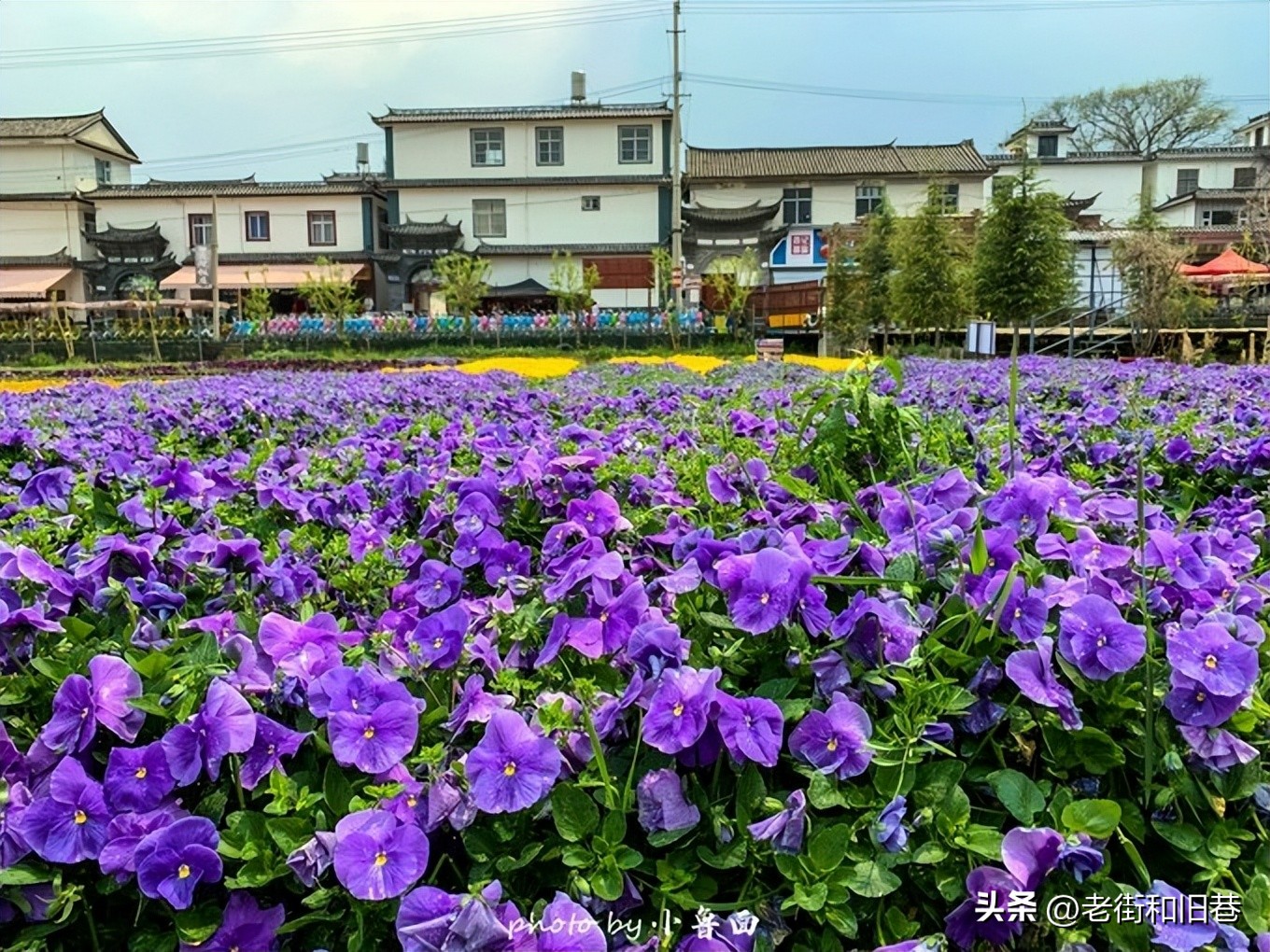 玩转云南自由行,昆明大理丽江6天5晚游多少钱