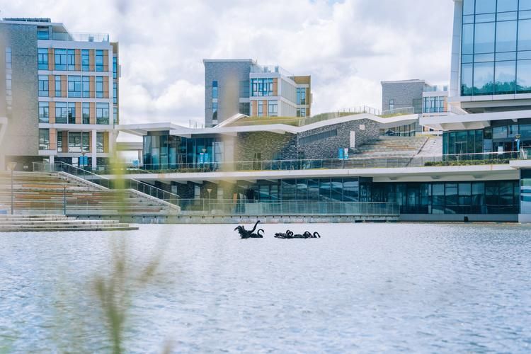 北师大香港浸会大学是统招吗,uic北师大香港浸会国际联合学院