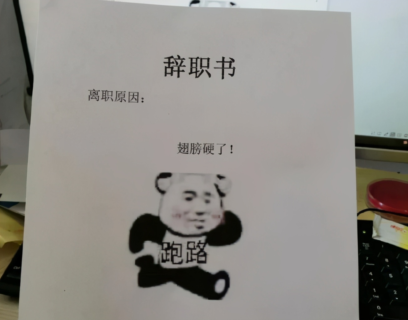 00后最嚣张的辞职信,00后“嚣张”的辞职信火了