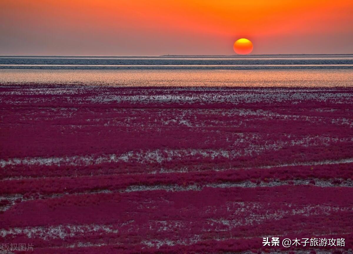 盘锦红海滩游玩攻略一日游,盘锦红海滩风景区游玩攻略