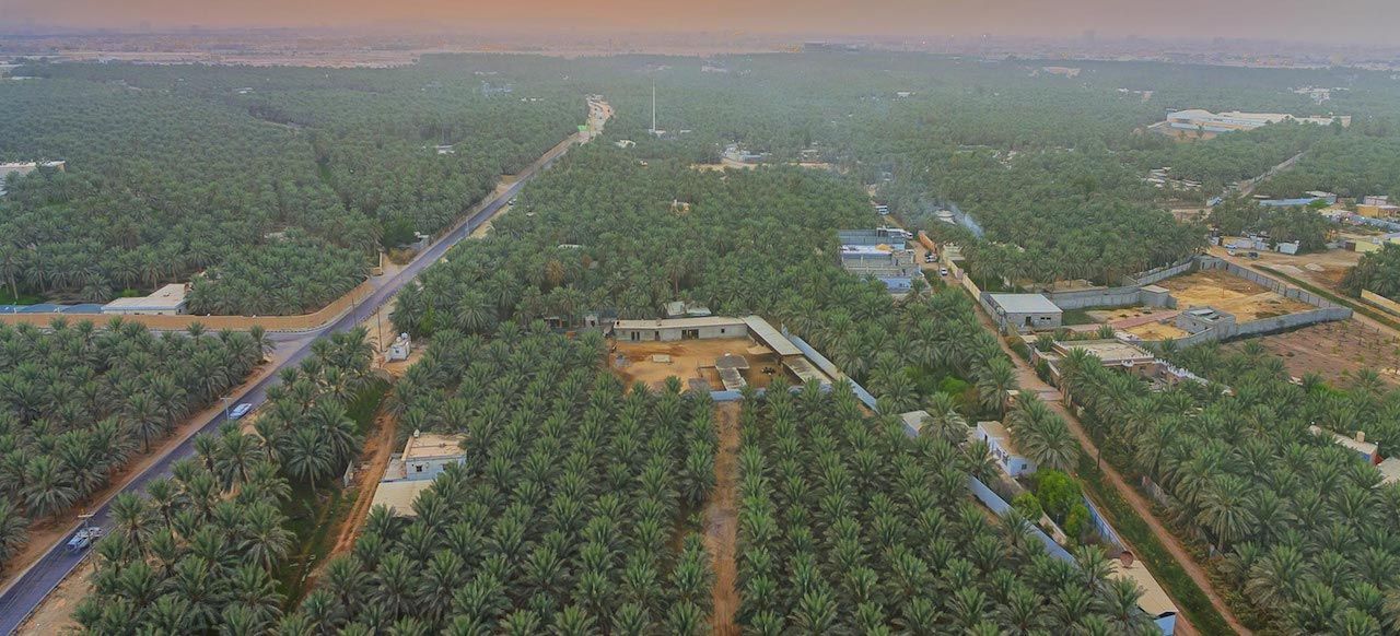 怎么获得迪拜签证,怎么获得也门签证