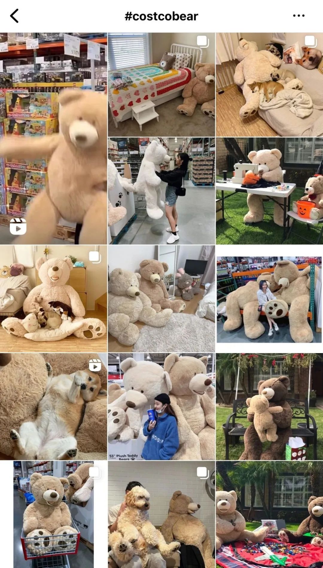 深圳有costco超市吗,深圳costco免费入会