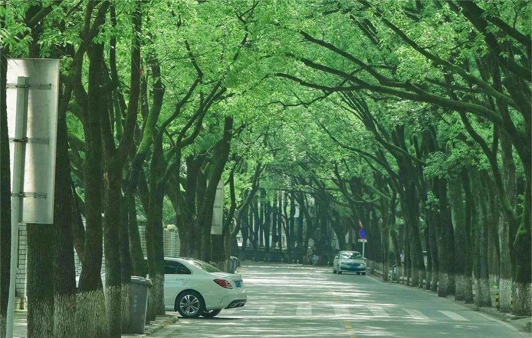 绾磥濂充汉,绾磥濂冲瓙