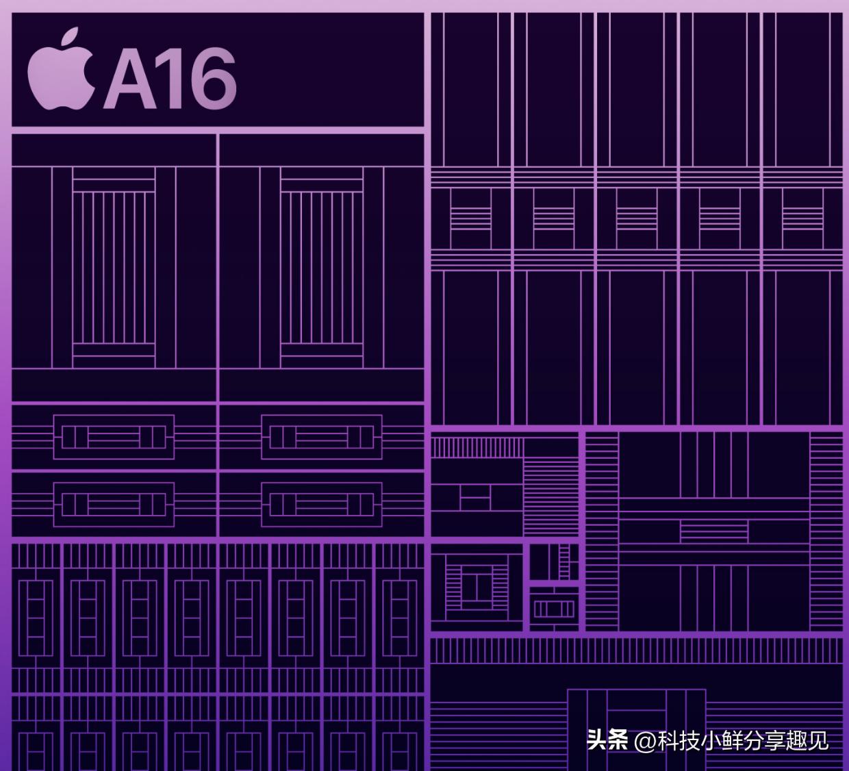 为什么iphone在中国这么贵,为什么iphone这么贵