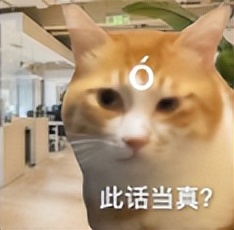 文淇个人工作室,文淇粉丝数量多少