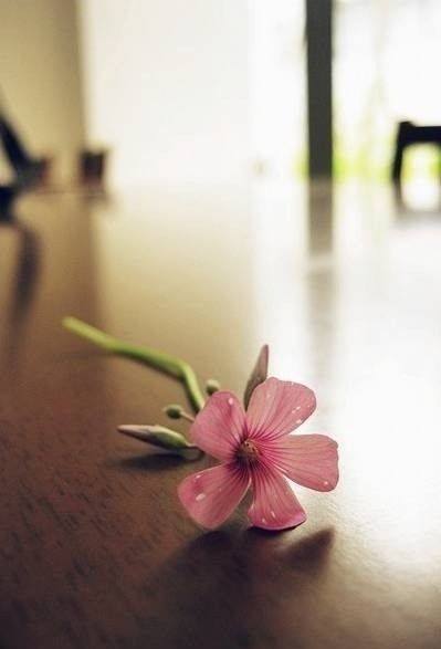 让人心灵平静的散文,散文人生最好的境界是丰富的安静