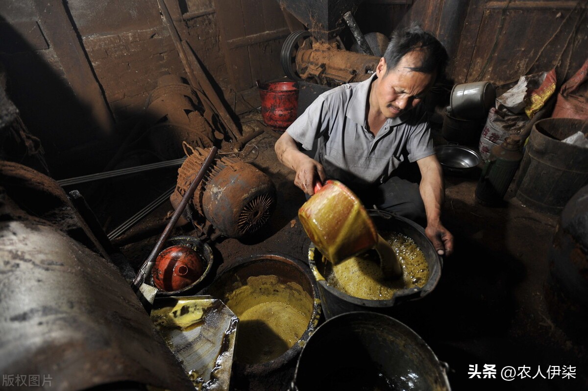 菜籽油过滤用冷盐水还是热盐水,菜籽油为什么要烧热再放凉