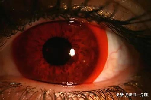 各种各样的隐形眼镜,超级好戴的隐形眼镜