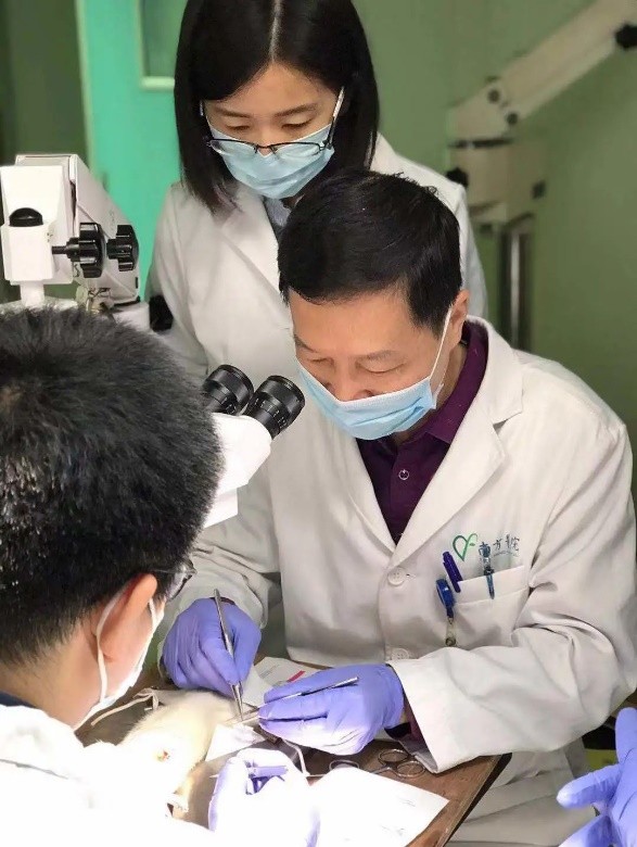 较先进的植发技术,国际上最先进的植发技术