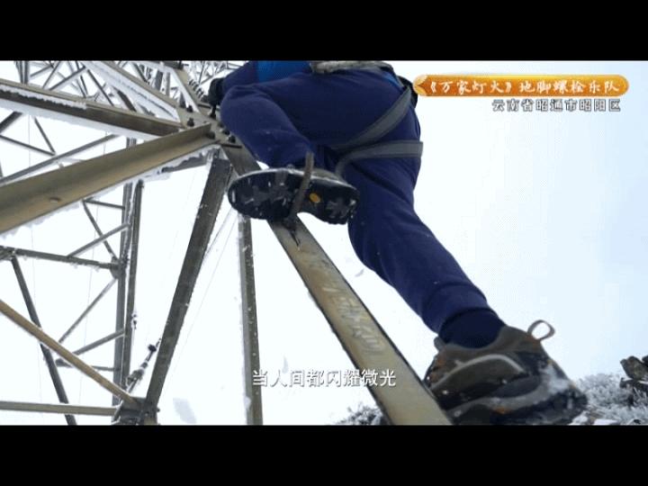 美人鱼是怎么养成的,美人鱼是怎样养的