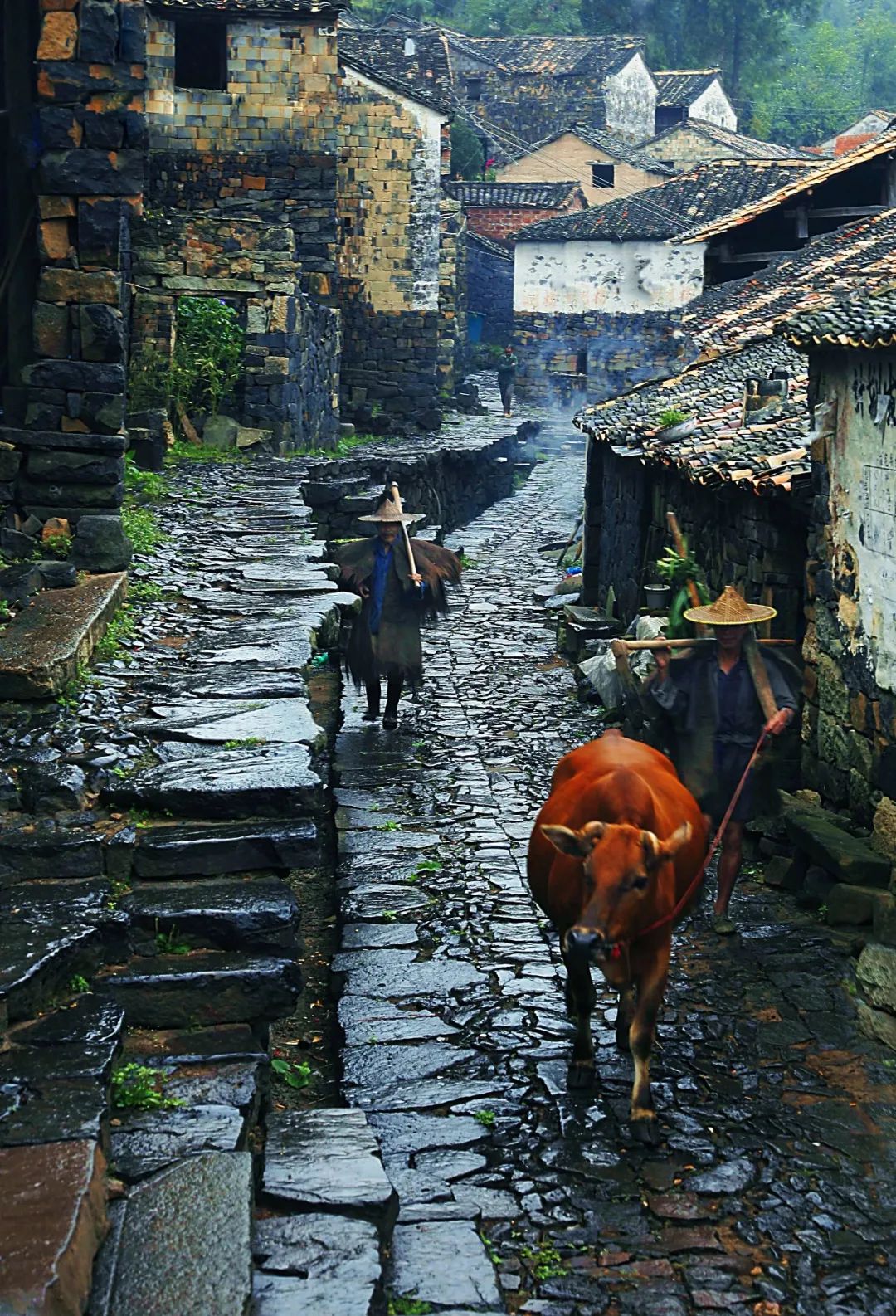 夏季气温不高的城市,夏季不热的旅游城市