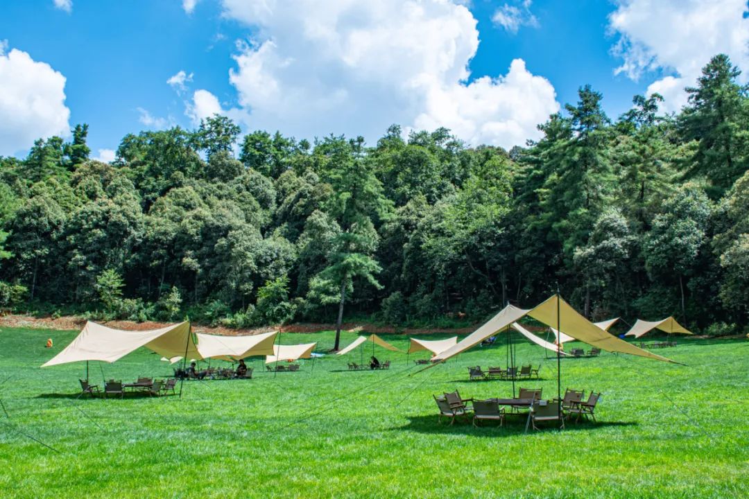 昆明松鹿部落风景区现在收门票吗,昆明松鹿部落景区