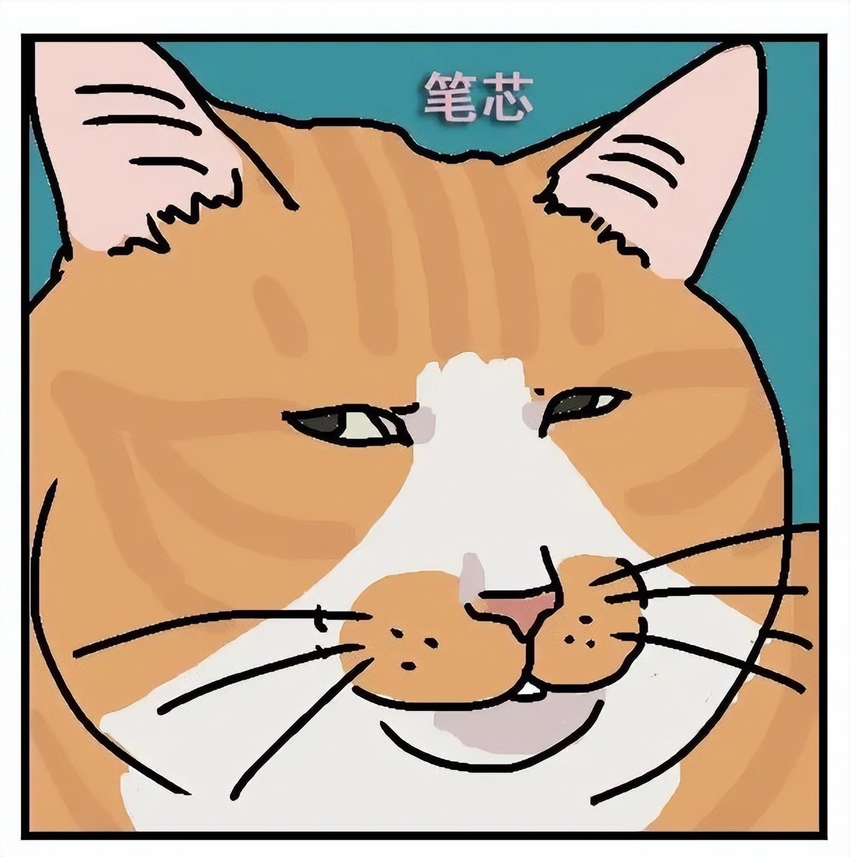 养猫劝退指南第19集,养猫劝退指南英短