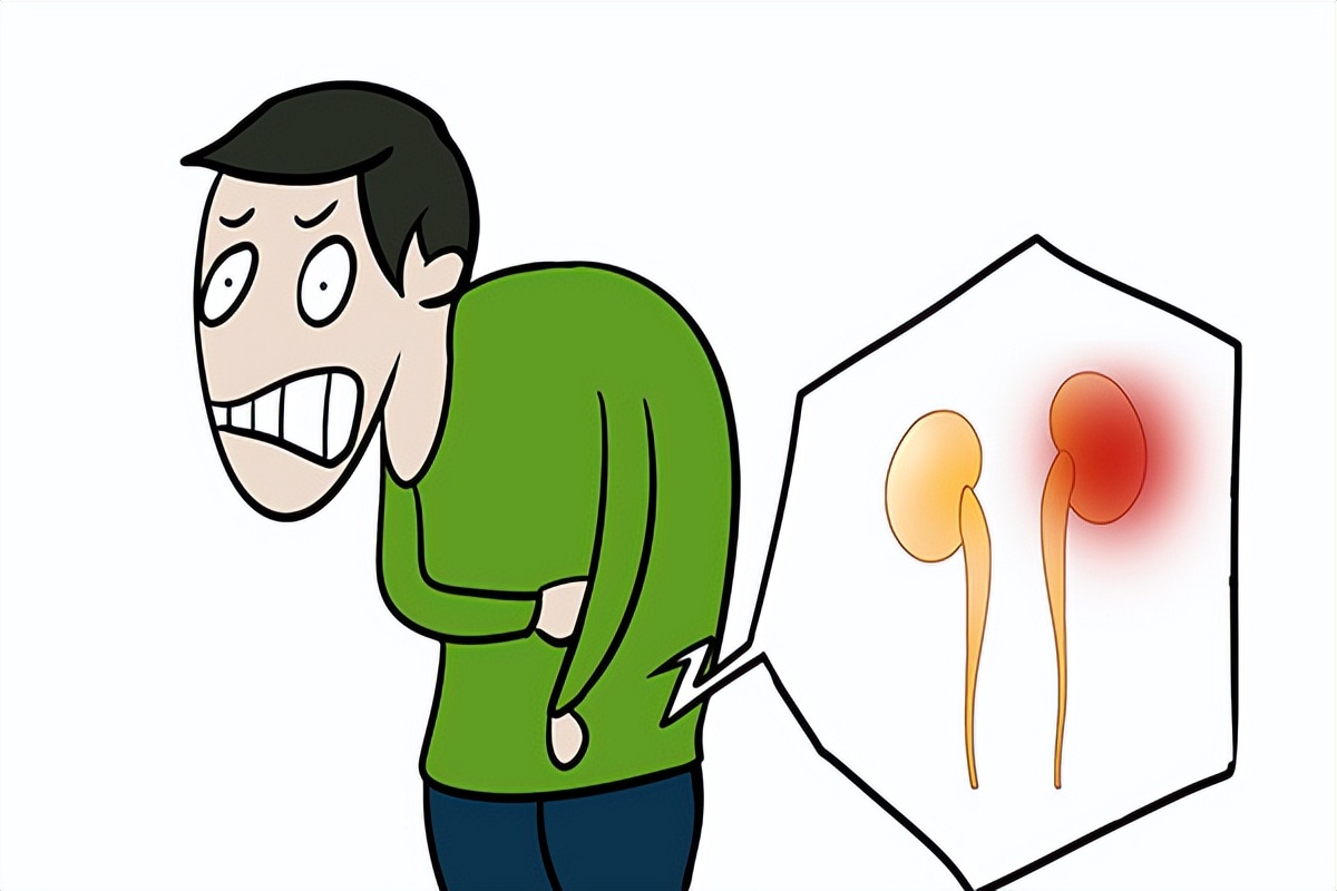 身体早衰，阴阳两虚？简单两味中药，帮助补足肾精亏虚