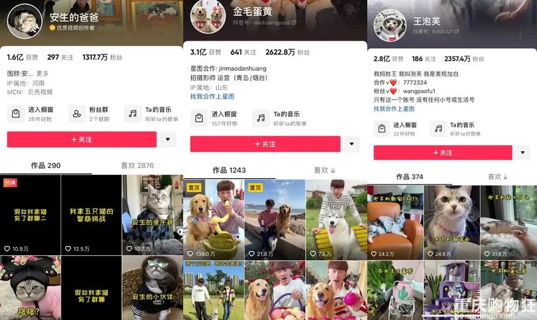 宠物博主有多赚钱,宠物博主怎么盈利