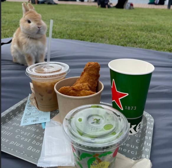 买鸭货被坑,买鸭货被骗了怎么办