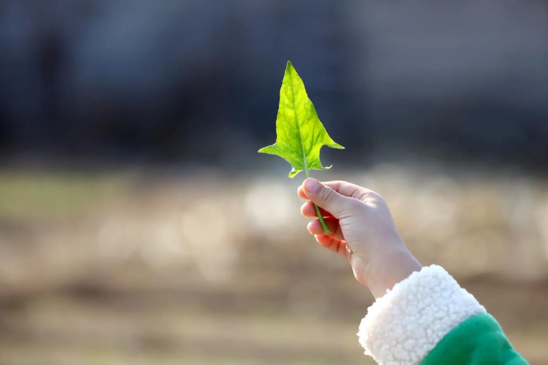 有人教你为人处世文案短句,为人处世的最佳状态文案