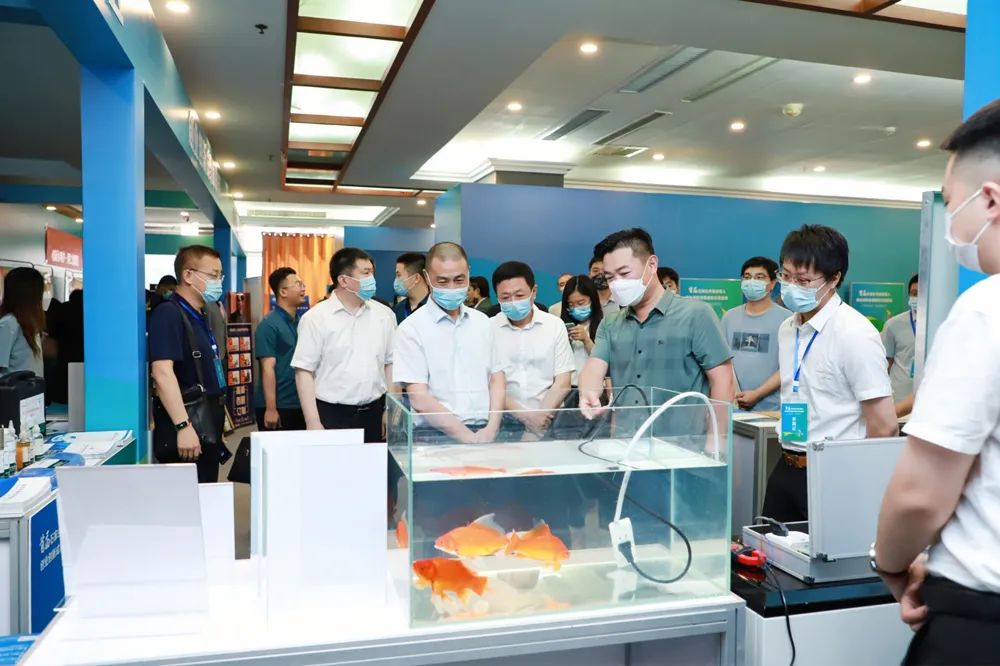 退役军人创新创业大赛颁奖典礼,石家庄退役军人创新创业政策