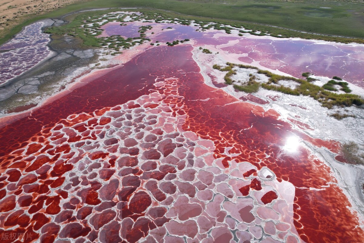 阿拉善旅游攻略必玩的景点地图,内蒙古阿拉善游玩攻略