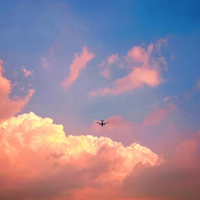 手机摄影作品欣赏夏荷之韵,夏荷摄影效果怎么样