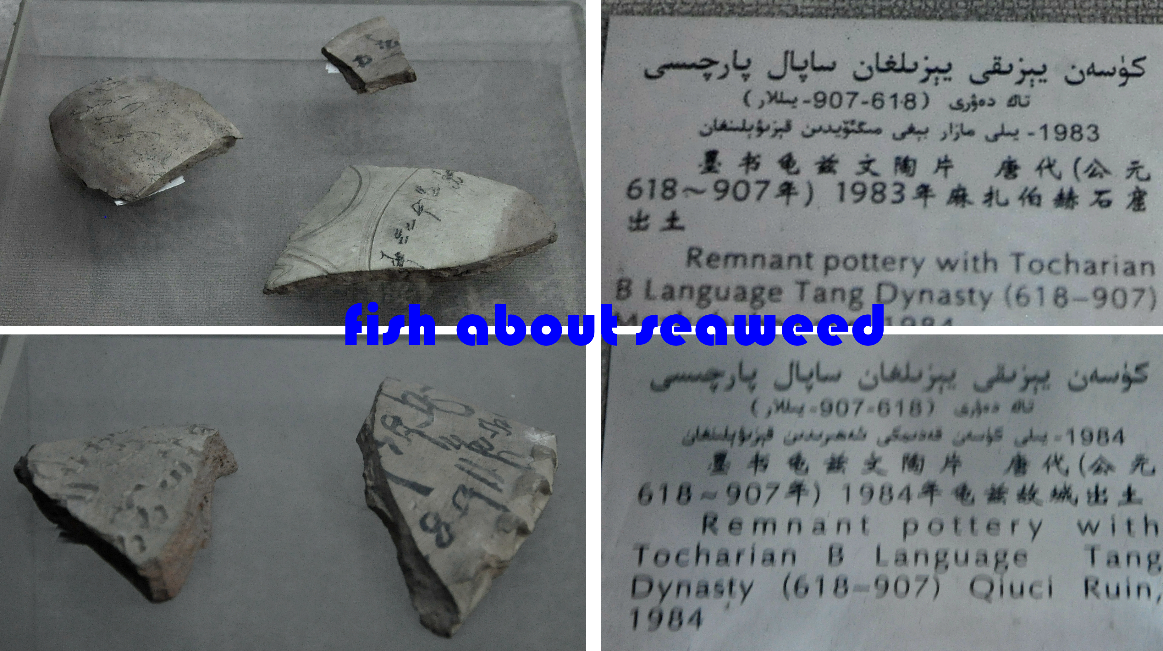 55西进西域·新：库车王府，龟兹文明的橱窗；清代边疆政策范本