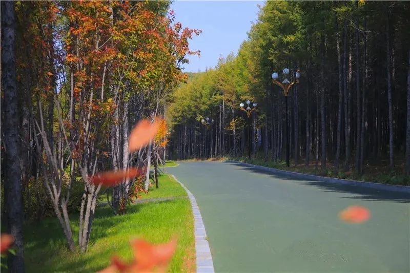 【延边人游延边】玩好吃好住好,这样的敦化很难说不爱