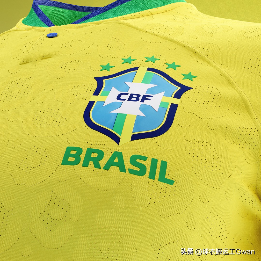 巴西世界杯阵容2022,巴西国家队球衣美洲杯