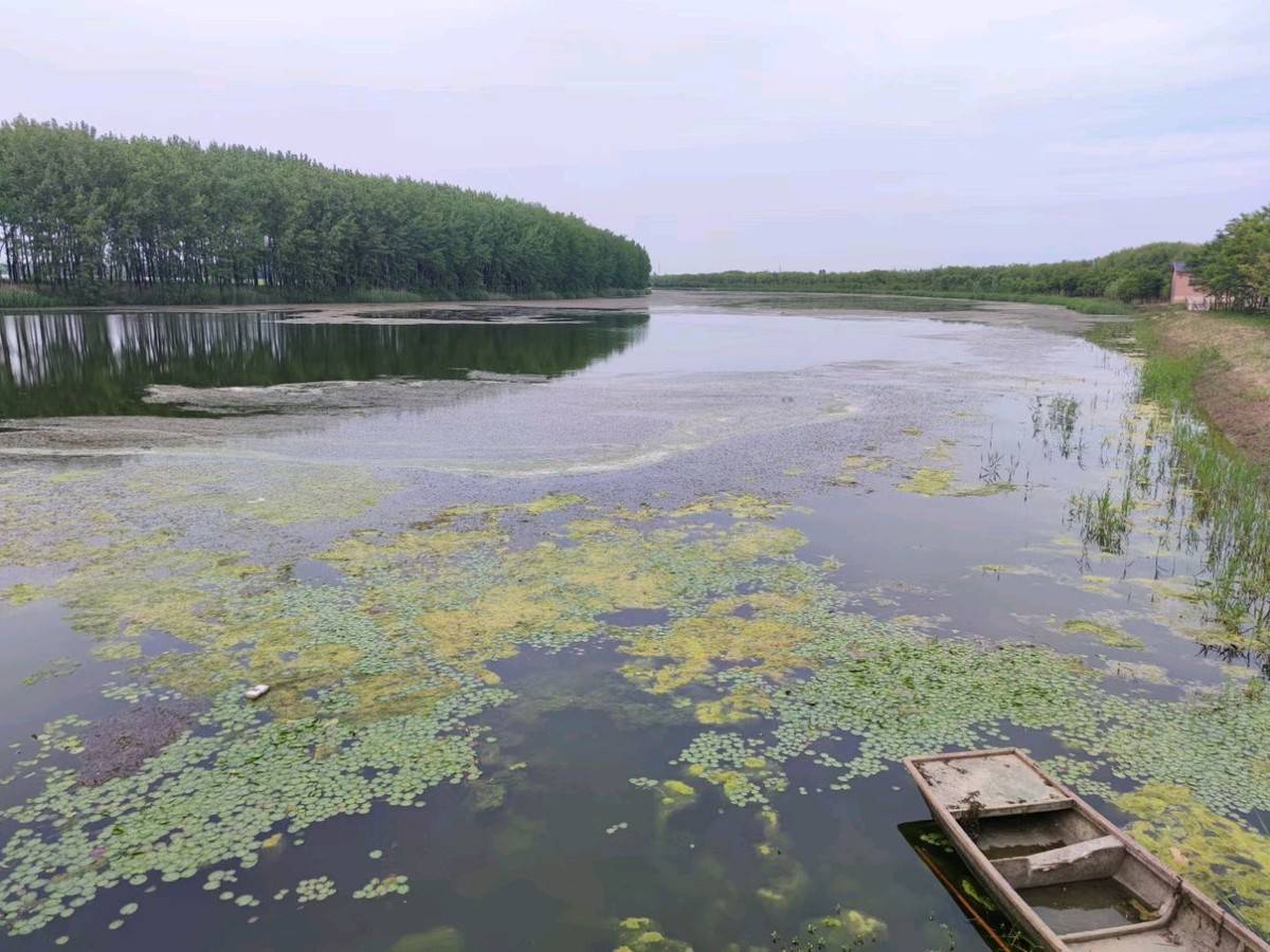 进淄赶烤一路飘香,进淄赶烤风雨无阻