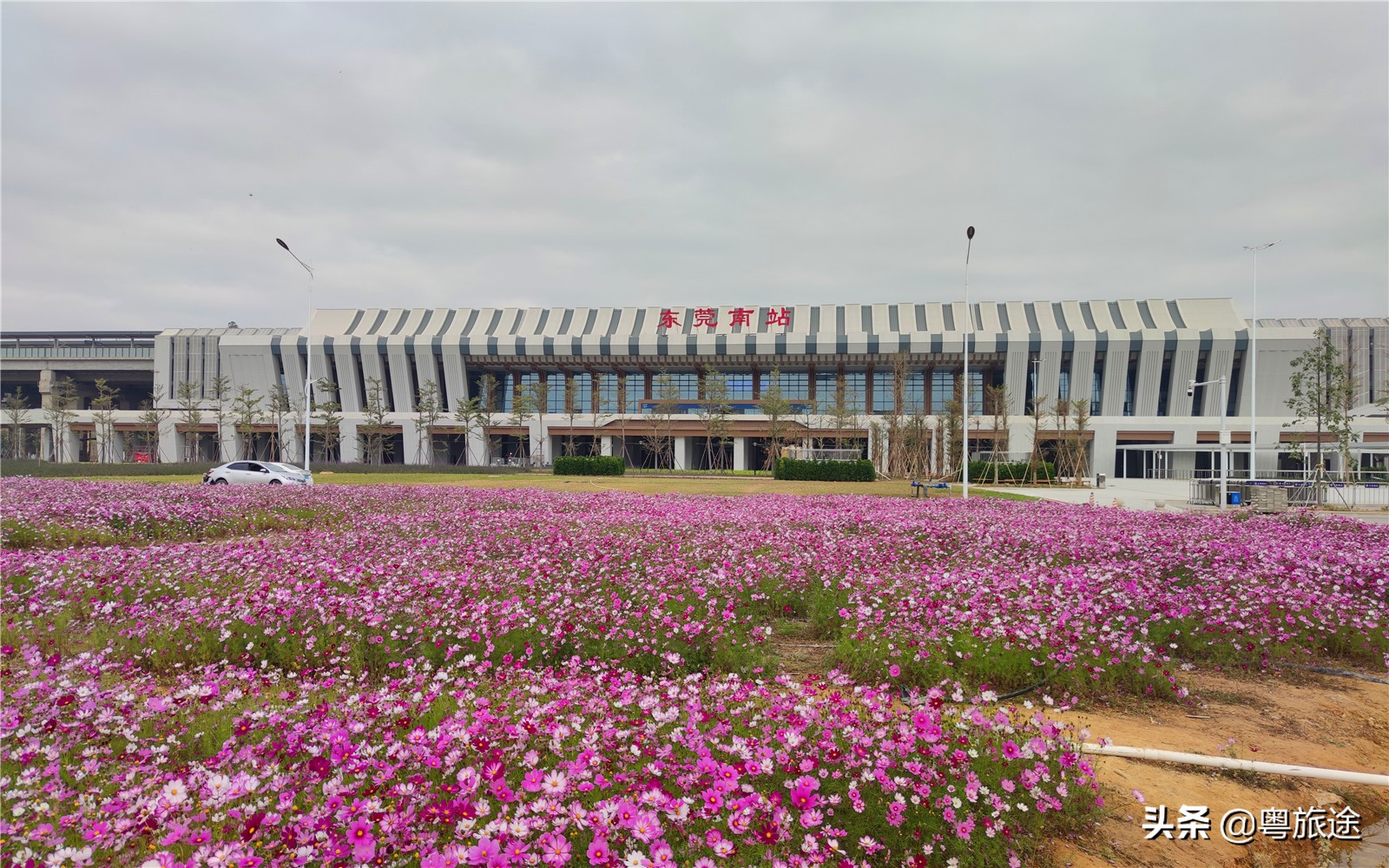 粤港澳核心城市东莞,塘厦镇将全力打造大湾区强镇