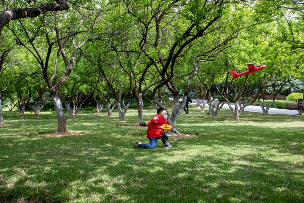 春天的第一场露营,黄埔夏天露营地点推荐