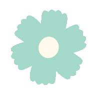 【激扬家国情奋斗新征程】淄博市最美家庭展播——绿色家庭篇