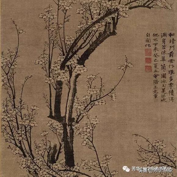 梅花图简介,历代名家梅花图