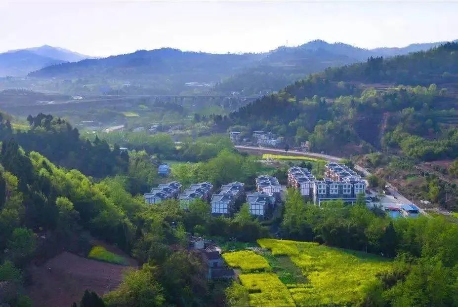 春暖花开运动好时节,春暖花开该开始运动了