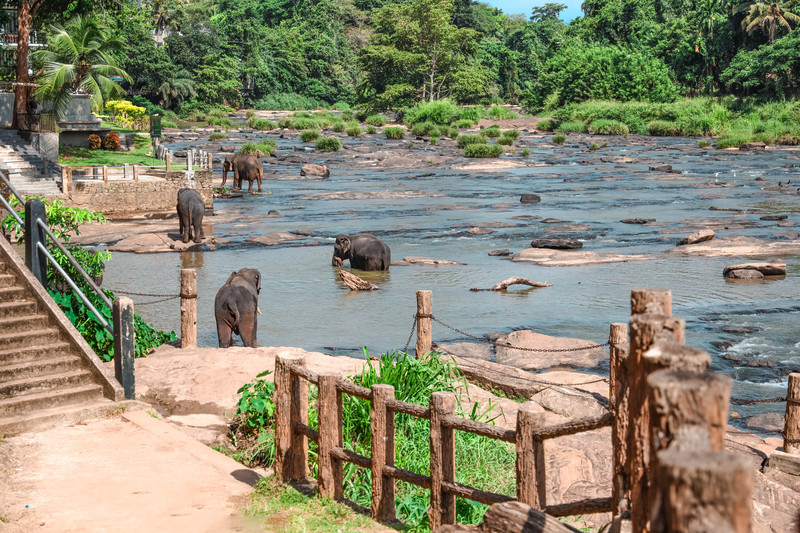 斯里兰卡旅游攻略必去景点,斯里兰卡旅游攻略最佳时间
