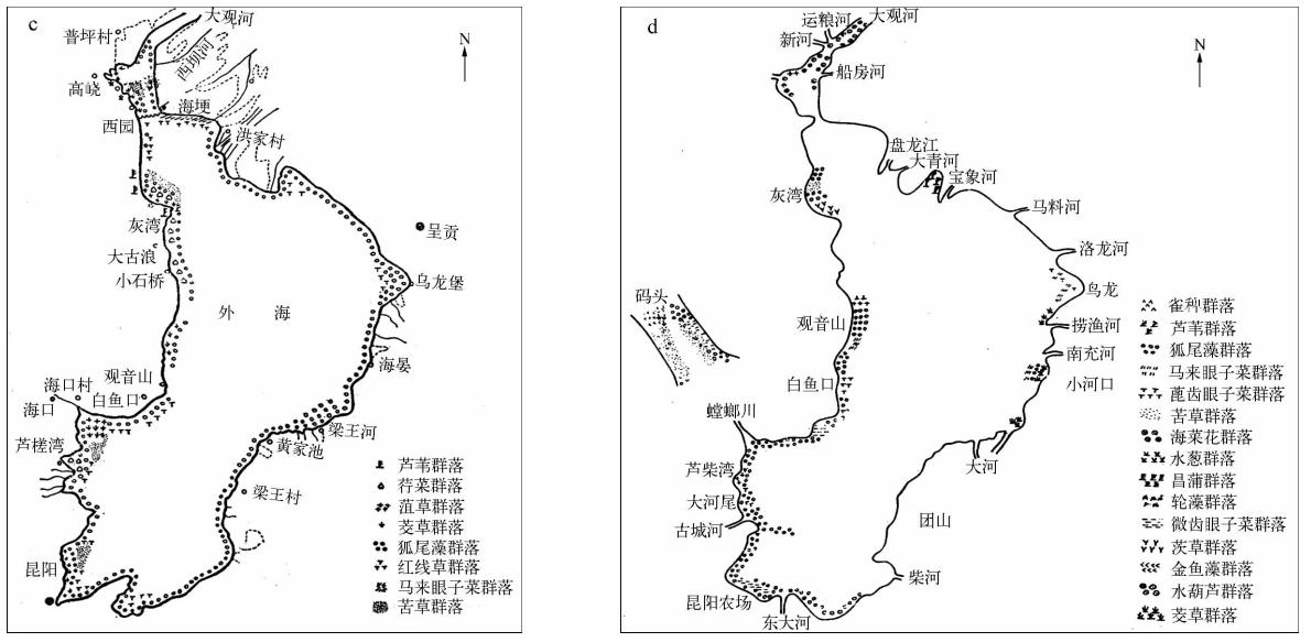 昆明滇池臭湖,滇池到底怎么样了