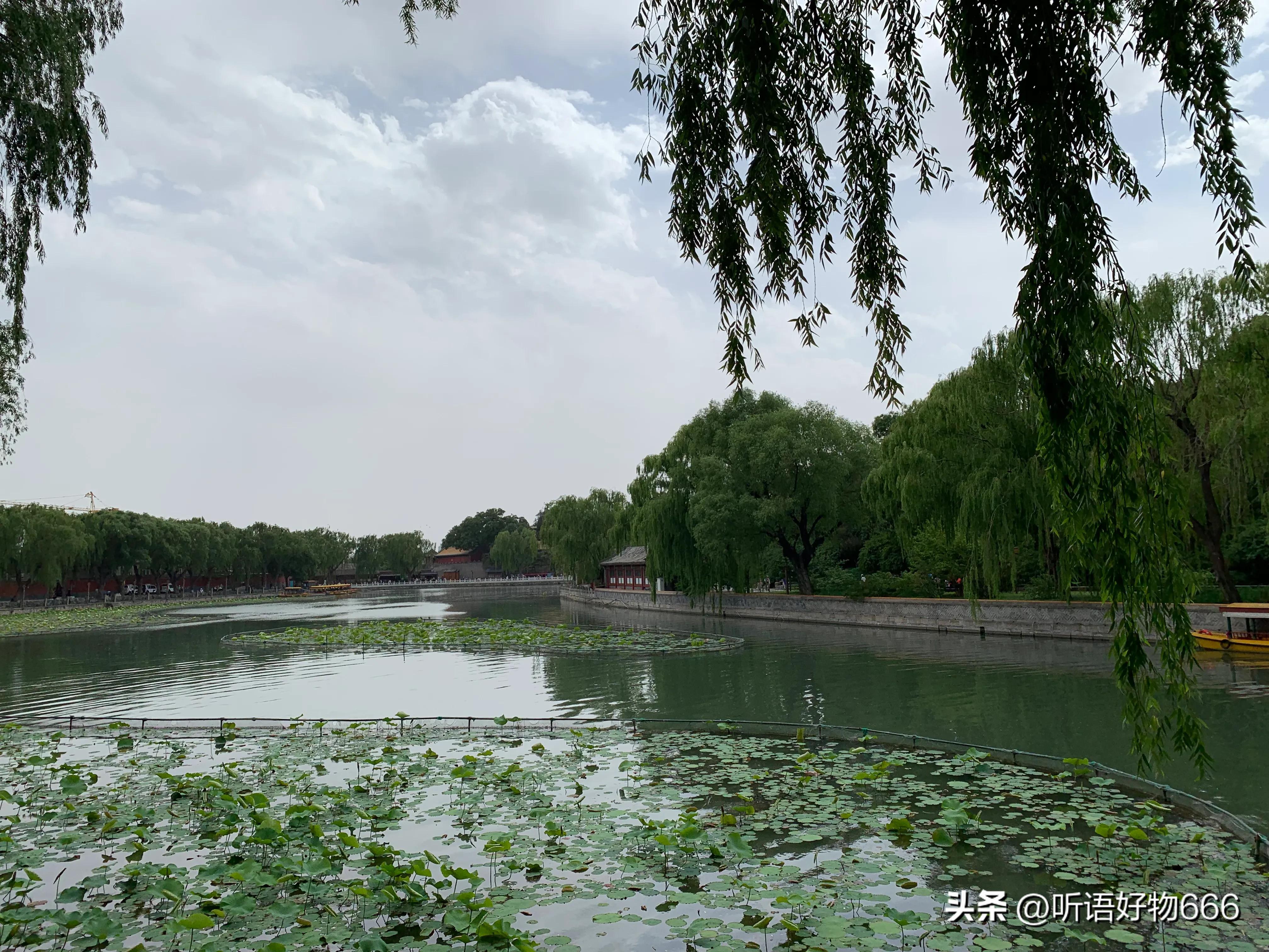 如何夸奖孩子的方法,如何夸奖孩子的作品